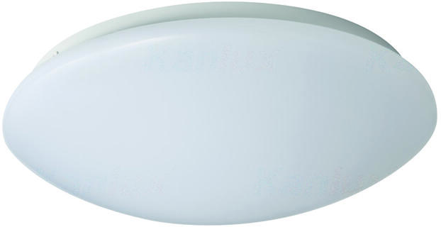 CORSO 31225