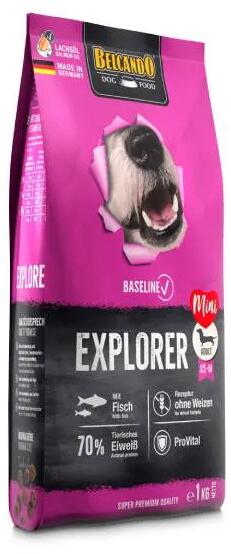 Baseline Explorer 1 kg