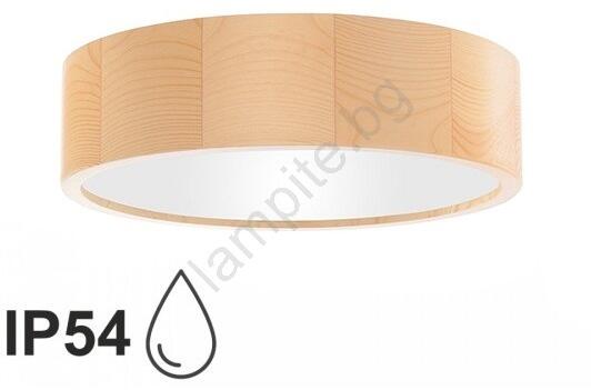 CLEO TM0116