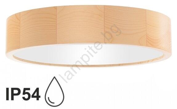 CLEO TM0118