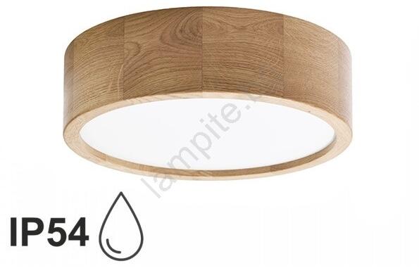 CLEO TM0115