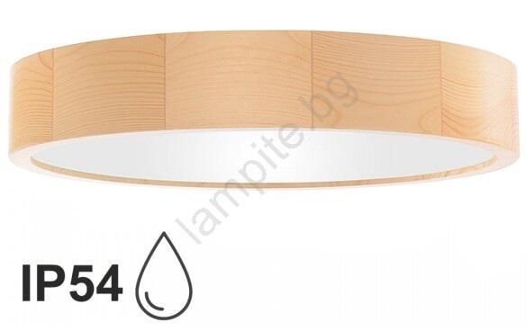 CLEO TM0120