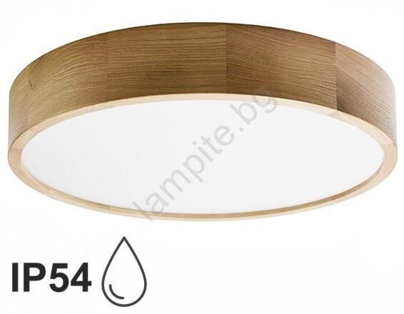 CLEO TM0119