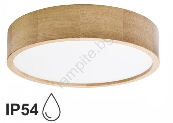 CLEO TM0117