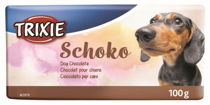 Csokoládé 100 g (2970)