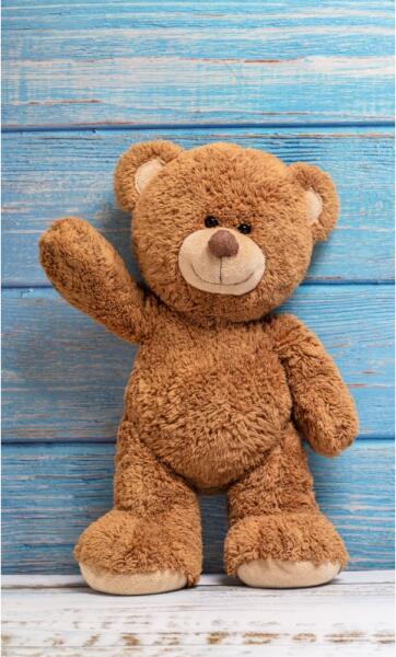 Plush Bear (CBX191333TNL)