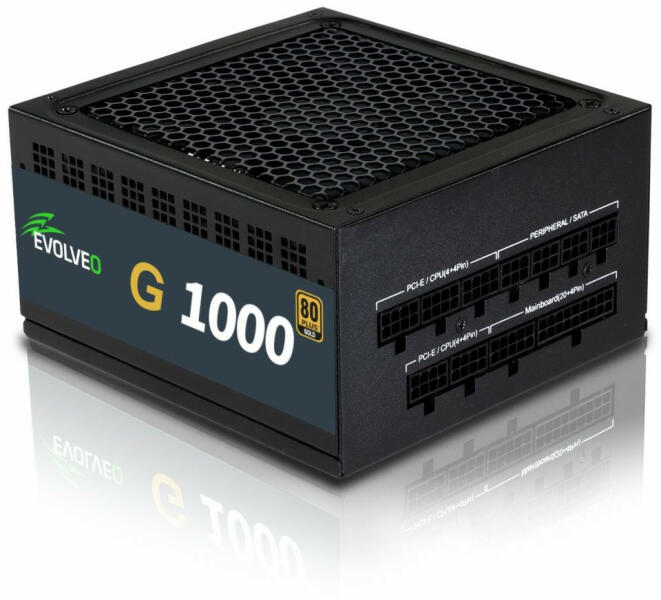 G1000 PCIe 5.0 1000W 80 PLUS Gold (EG1000R)