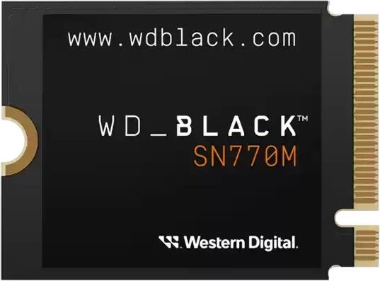 SN770M 500GB M.2 (WDS500G3X0G)
