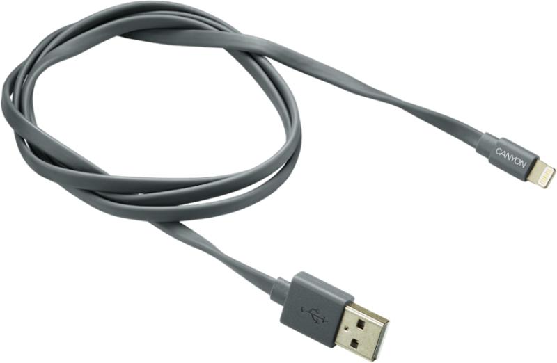 CNS-MFIC2DG