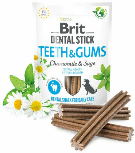 Dental Stick Teeth&Gums kamillával és zsályával 251 g