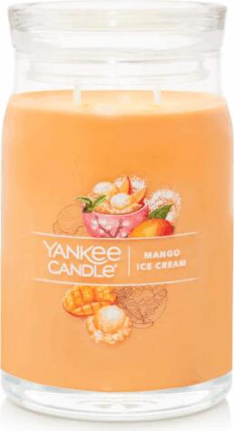 Signature Mango Ice Cream 567 g