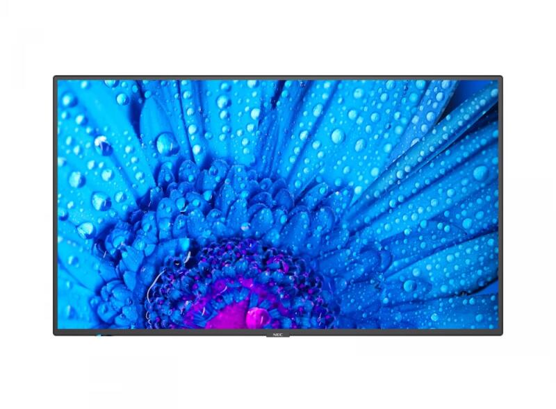 MultiSync M981 60005069