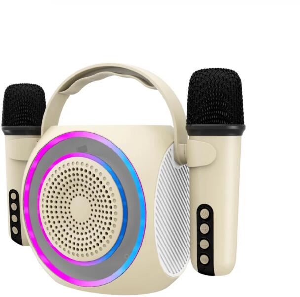 Partymic2