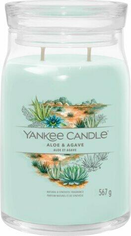 Signature Aloe & Agave 567 g