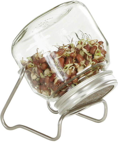 Eschenfelder Set I 750 ml-es csíráztató üveg