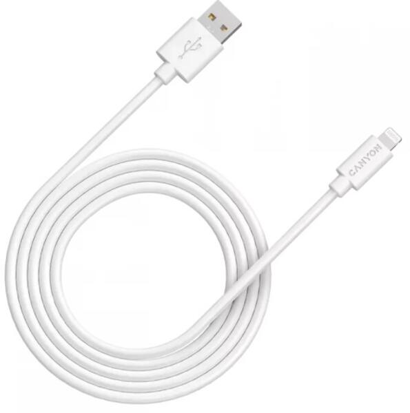 CNS-MFIC12W