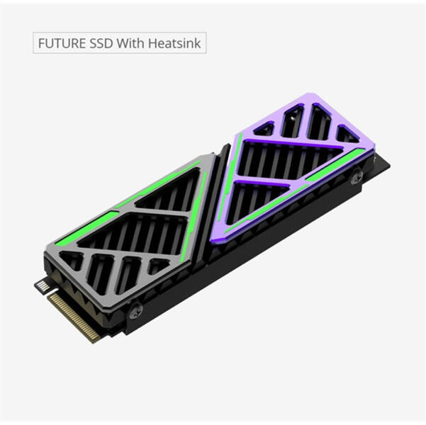 Futurex 2TB M.2 (HS-SSD-FUTUREX(STD)/2048G/PCIE4/WW)