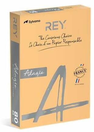 A4 80g RYADA080X413