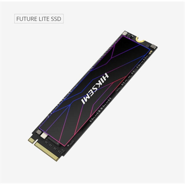 Future Lite 2TB M.2 (LITE(STD)/2048G/PCIE4/WW)