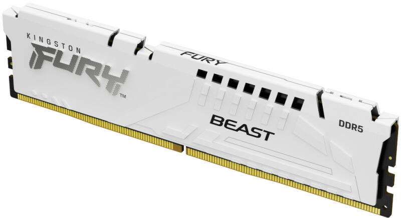 Kingston FURY Beast 16GB DDR5 6000MHz KF560C30BWE-16 (Memorie