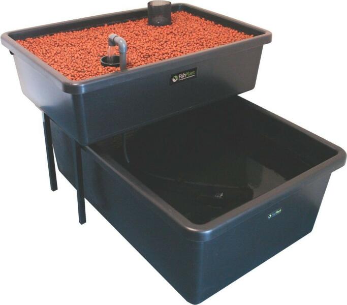 Aquaponics Family Unit