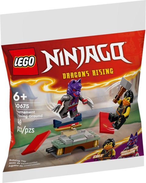 cororful／Sodomほか LEGO® NINJAGO® - Tournament Training Ground & Kai and Rapton's