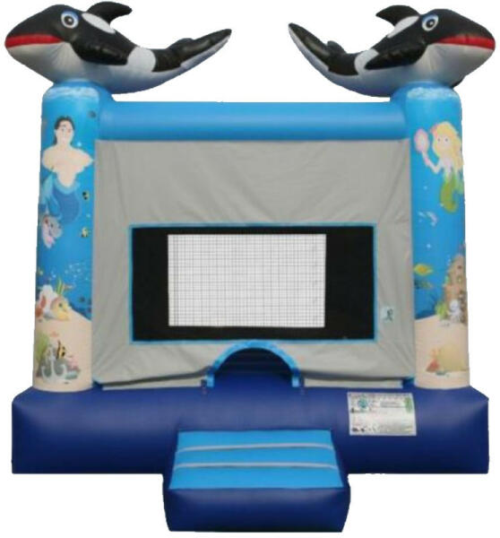 Dolphin (BO1737)