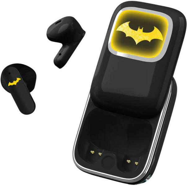 Batman Darknigts Slide TWS