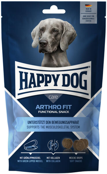 Arthro Fit 100 g
