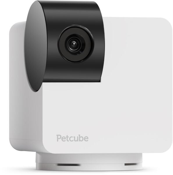 P36010US (1257647)