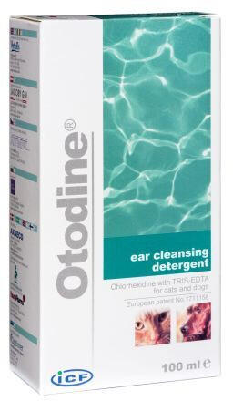 Otodine 100 ml