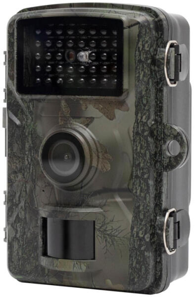 WILDCAM1