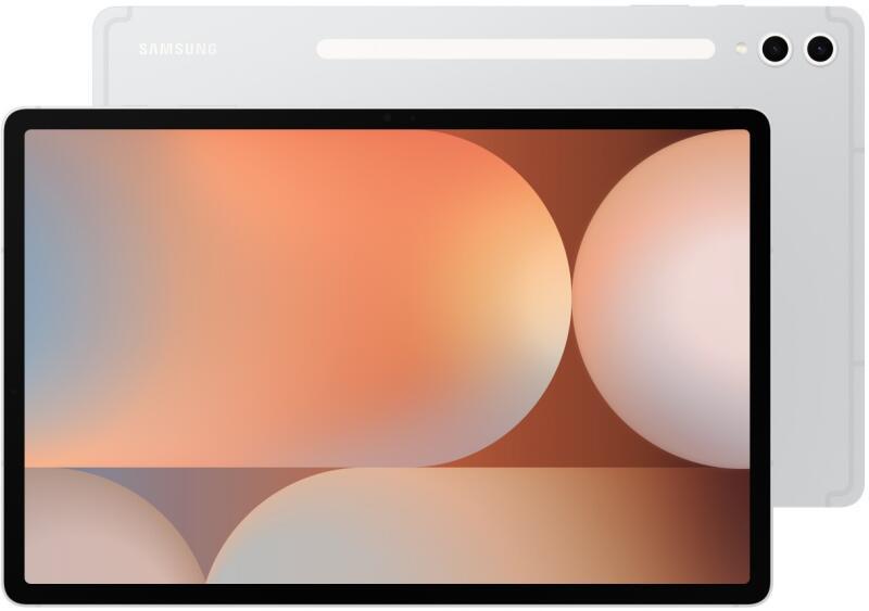 Galaxy Tab S10+ 256GB SM-X820NZSREUE