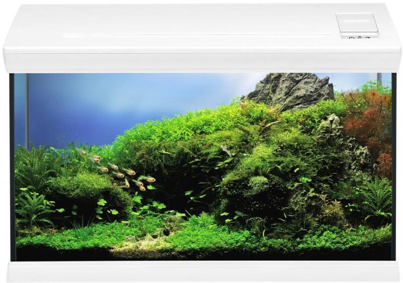 aquaclass 66
