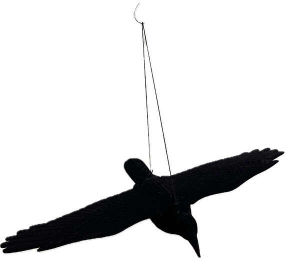 Velda Kitárt szárnyú varjú plüss/flokkolt 80*11*46 cm S002 (850507 - S002)