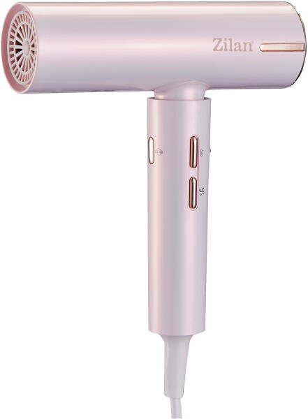 ZLN9181