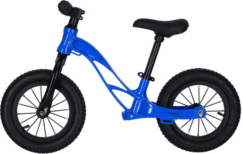 Trike Fix Active X1 (IA-KX4356)