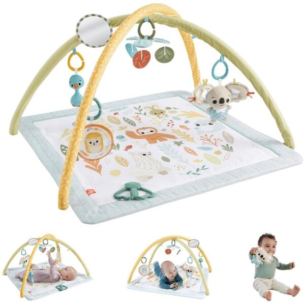 Fisher-Price Sensimals HRB15