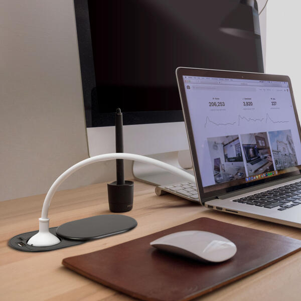 1 Plug + 2 USB (20463BK)
