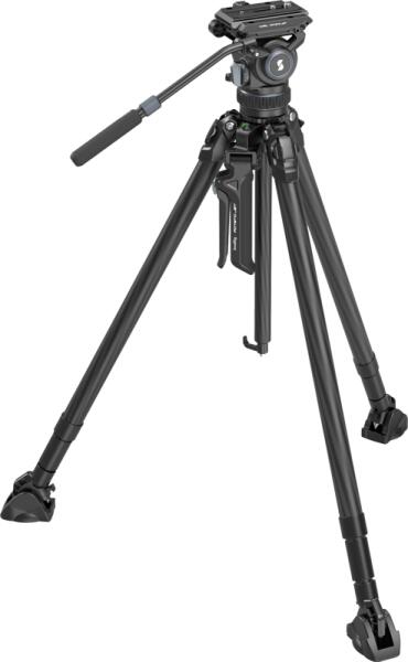 4259