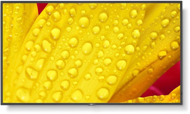 MultiSync M501-2 60006084