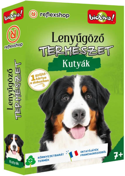Lenyűgöző természet: Kutyák