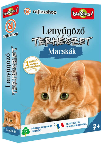Lenyűgöző természet: Macskák
