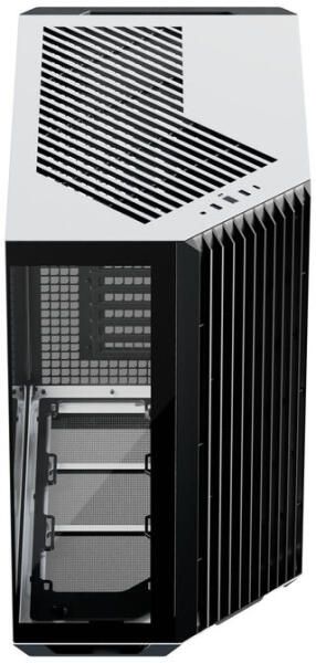 V1 Black /White (APCM-VI01003.M1)