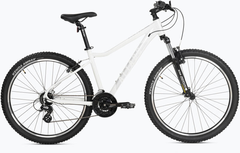 Alpe 1.0