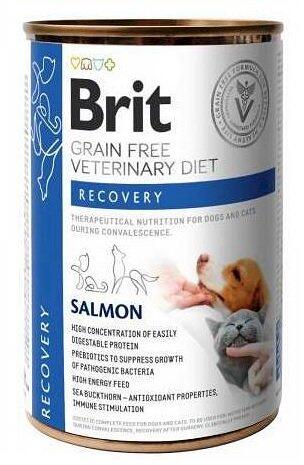 Veterinary Diet Recovery 400 g