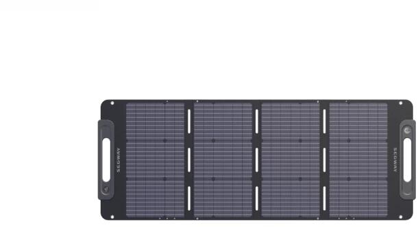 Ninebot SP 100 100W (AA.20.04.02.0002)