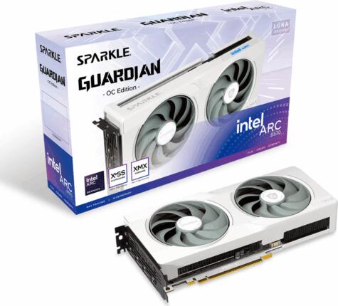 Intel Arc B570 GUARDIAN LUNA OC 10GB (1A1-S00430000G)