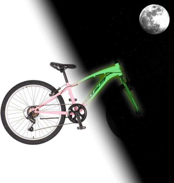 FluoBike Bloom 24