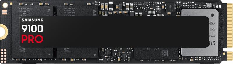 9100 PRO 2TB (MZ-VAP2T0BW)